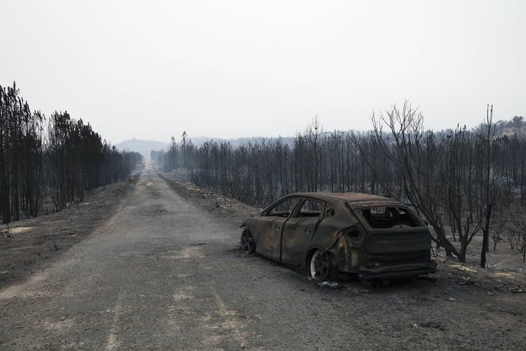Zhorený les a v popredí aj zhorené auto