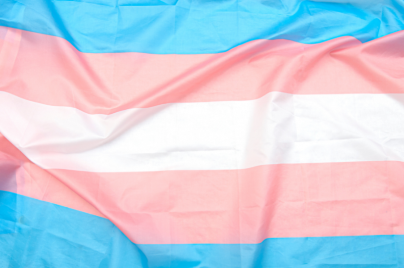 Vlajka transrodových osôb