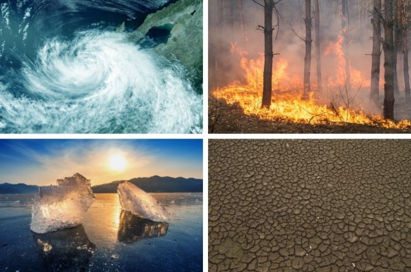 Koláž fotiek s rôznymi živlami